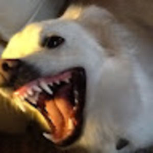 Meet your Posher, Stephen